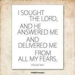 Meet your Posher, Audrey